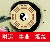 八字查询免费算命