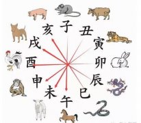 八字四柱算命免费算命