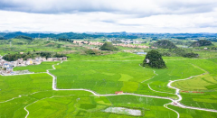 平坝区算命哪里准