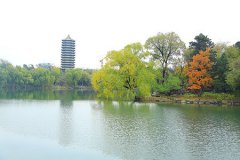 北京市东城区景山街道算命哪里准 故宫